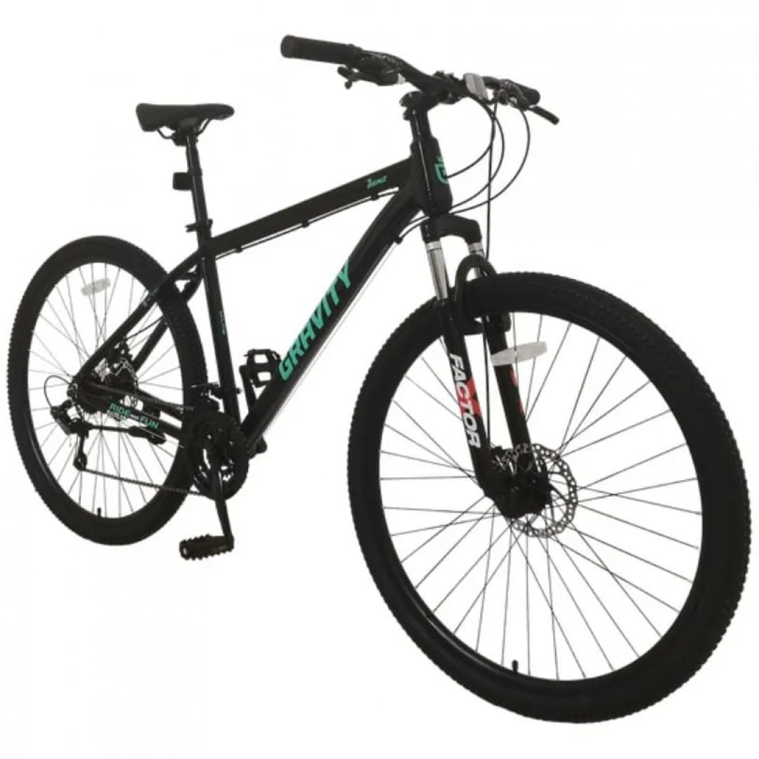 bici-gravity-benz-r29-1205