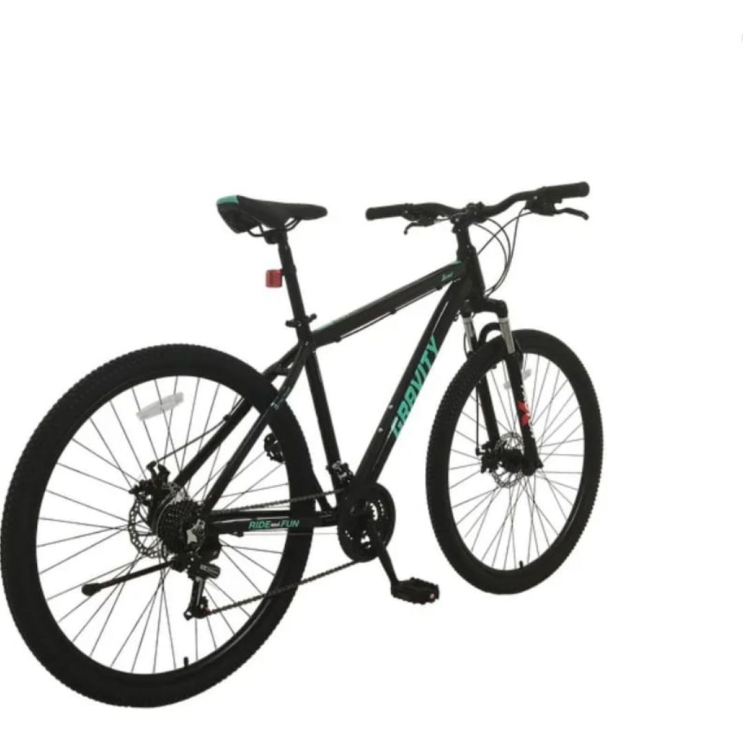bici-gravity-benz-r29-1205