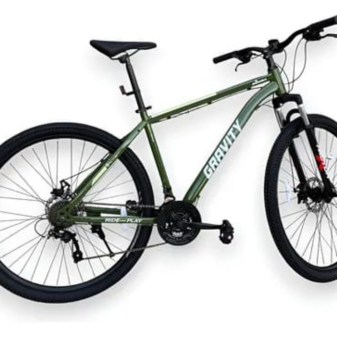 bici-gravity-bemba-r29-mtb-tml-19-1213